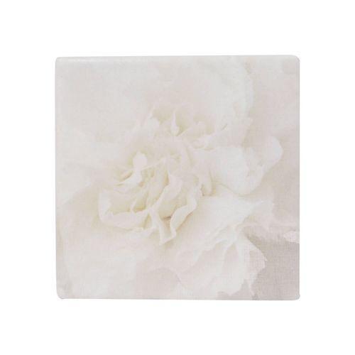 Full Bloom Ceramic Coasters - White Flower - Homewares